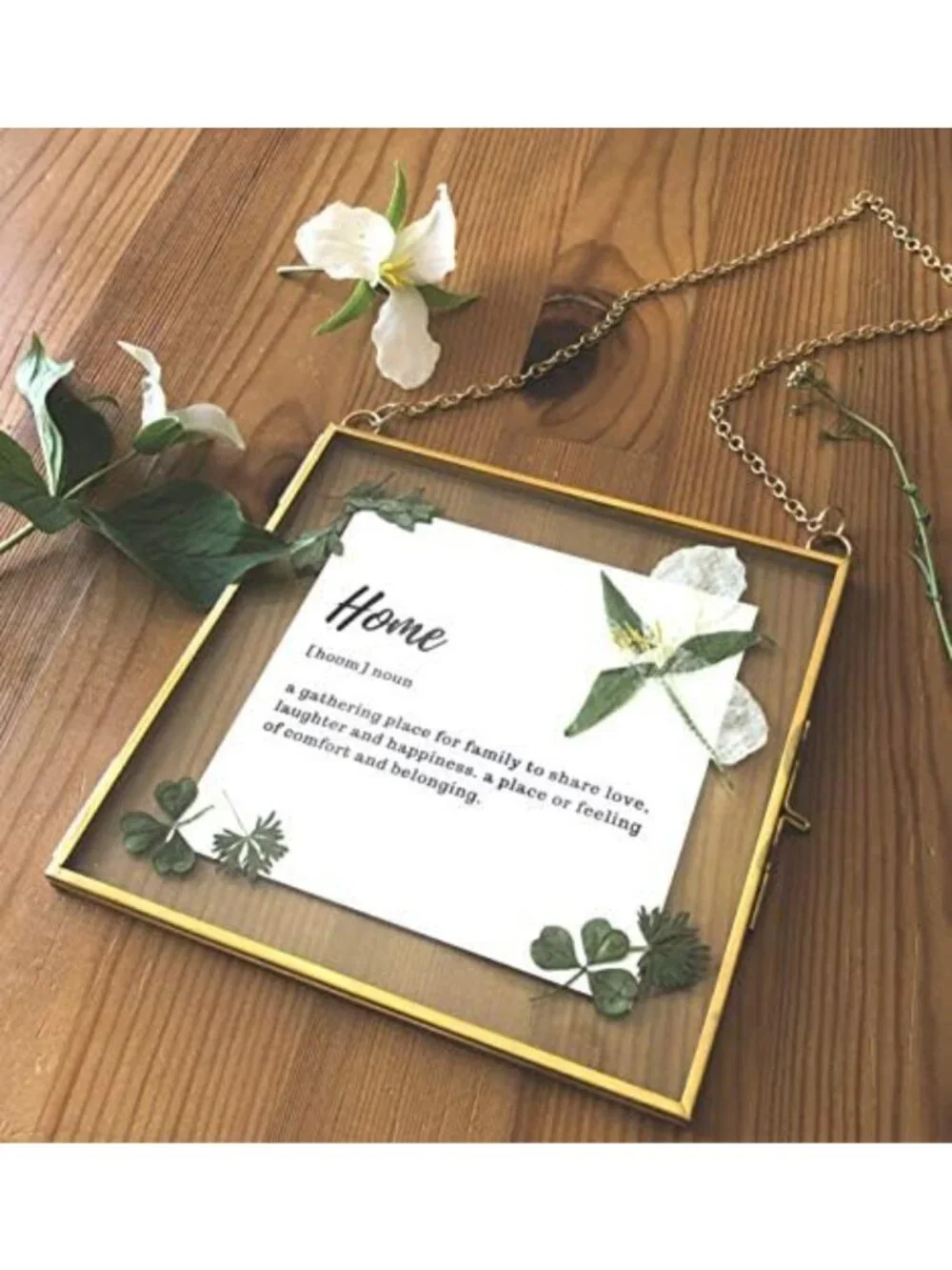 Set of 2 Gold Metal 6x6 Square Glass Frames for Pressed Flowers & Artwork